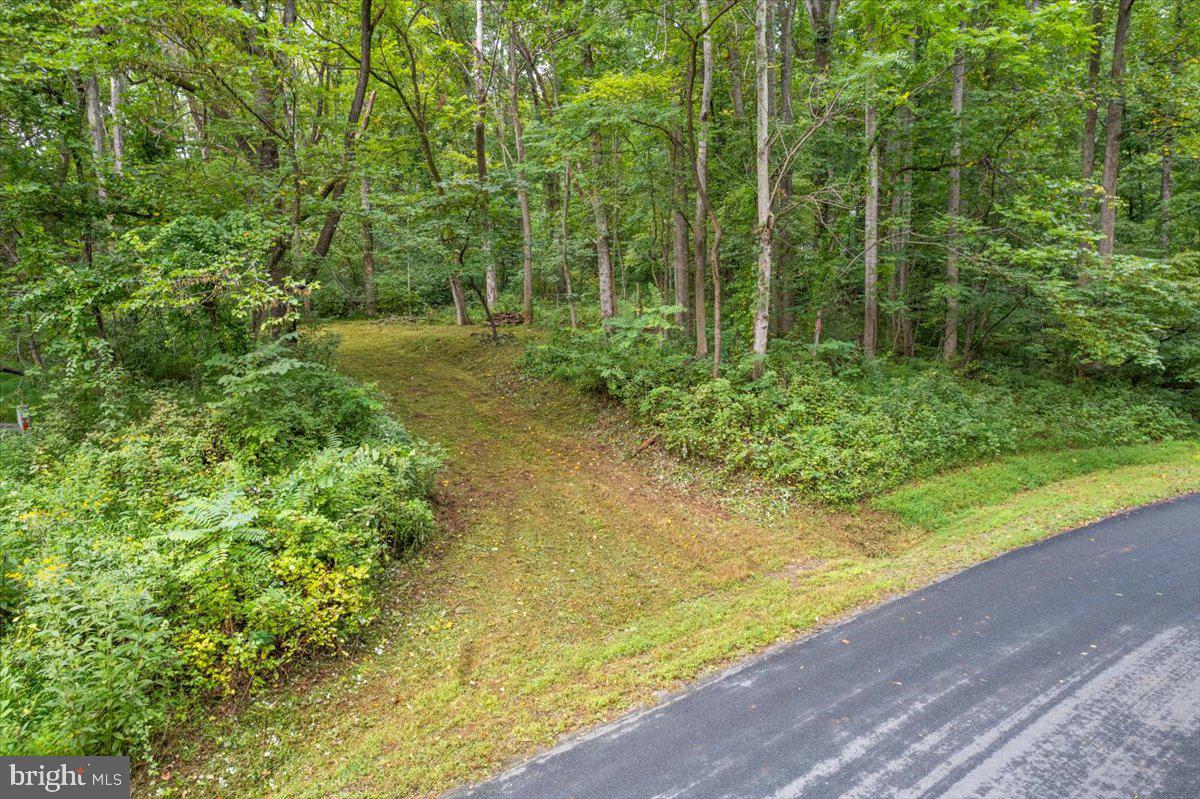 233 STONE CHIMNEYS RD RD, NELLYSFORD, Virginia 22958, ,Land,For sale,233 STONE CHIMNEYS RD RD,VANL2000282 MLS # VANL2000282