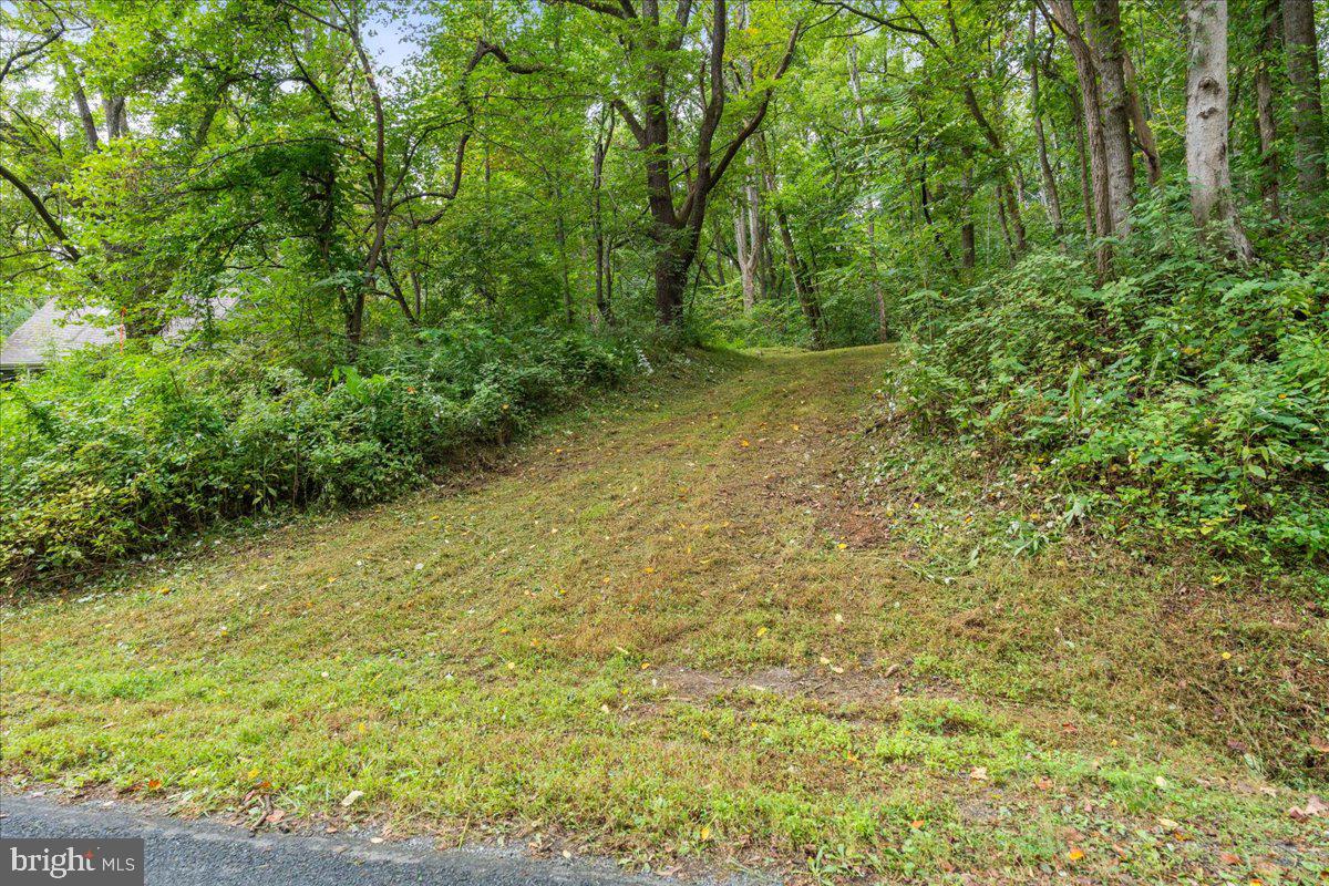 233 STONE CHIMNEYS RD RD, NELLYSFORD, Virginia 22958, ,Land,For sale,233 STONE CHIMNEYS RD RD,VANL2000282 MLS # VANL2000282