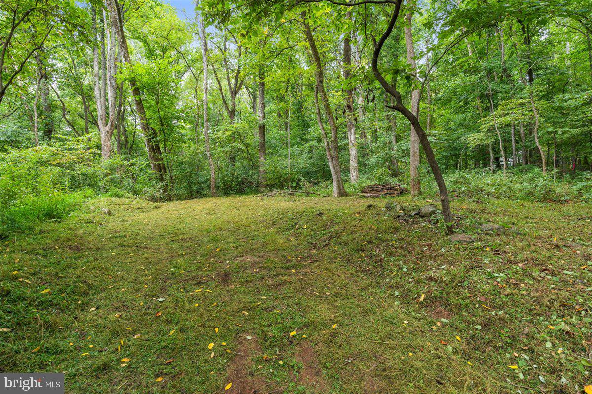 233 STONE CHIMNEYS RD RD, NELLYSFORD, Virginia 22958, ,Land,For sale,233 STONE CHIMNEYS RD RD,VANL2000282 MLS # VANL2000282