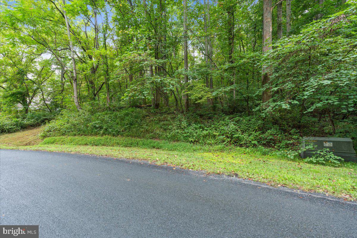 233 STONE CHIMNEYS RD RD, NELLYSFORD, Virginia 22958, ,Land,For sale,233 STONE CHIMNEYS RD RD,VANL2000282 MLS # VANL2000282