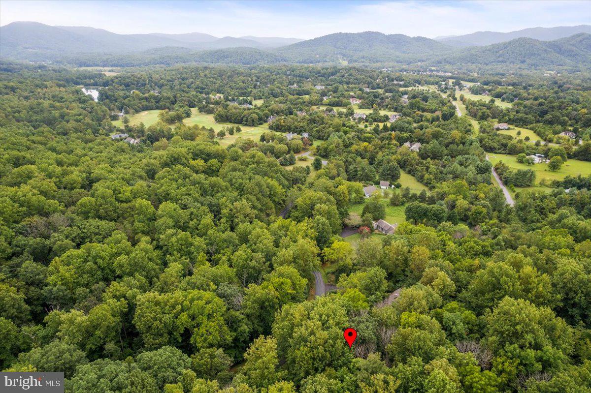 233 STONE CHIMNEYS RD RD, NELLYSFORD, Virginia 22958, ,Land,For sale,233 STONE CHIMNEYS RD RD,VANL2000282 MLS # VANL2000282