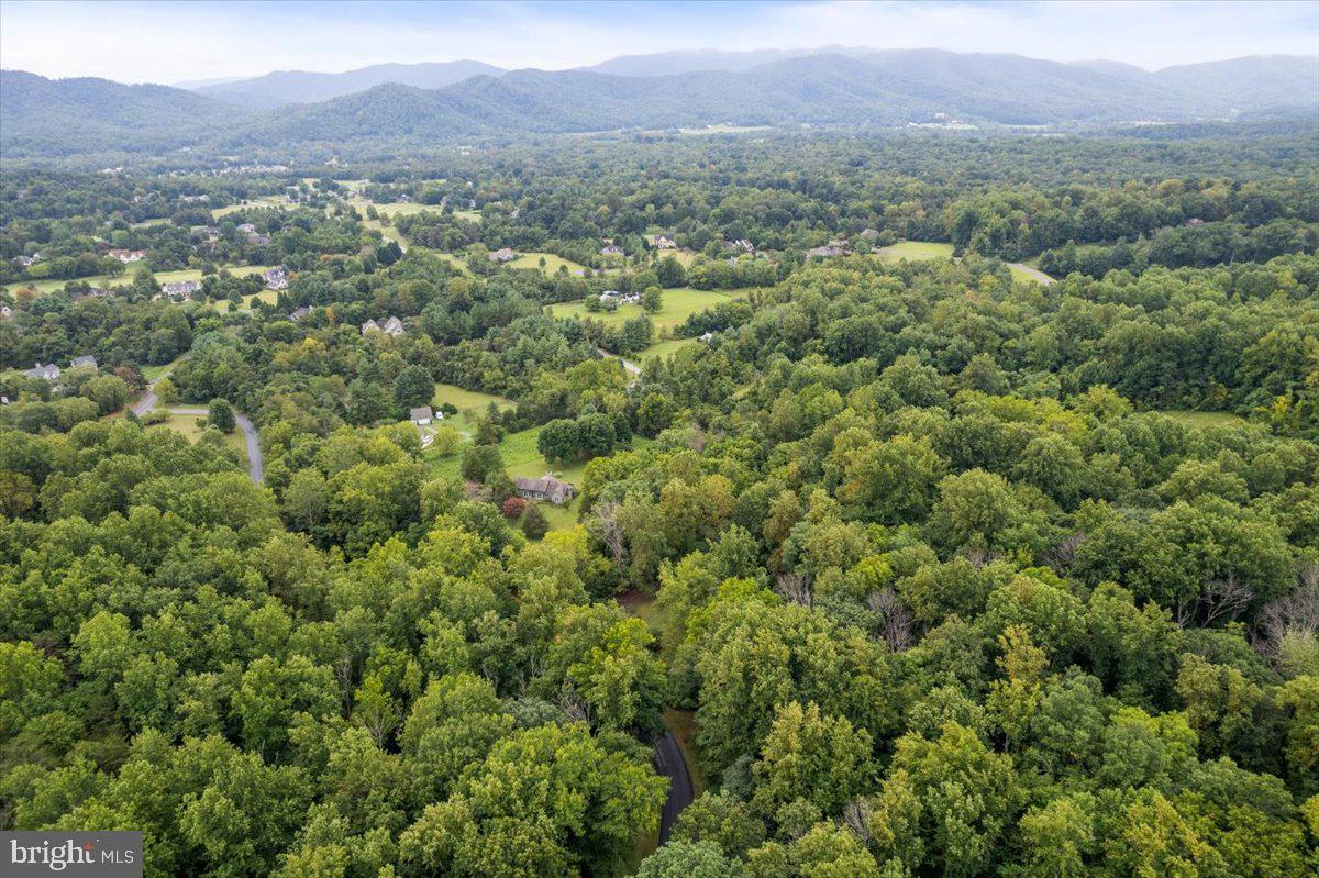 233 STONE CHIMNEYS RD RD, NELLYSFORD, Virginia 22958, ,Land,For sale,233 STONE CHIMNEYS RD RD,VANL2000282 MLS # VANL2000282