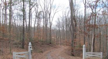 LOT 1D WILHOITS MILL RD WILHOITS MILL ROAD, BARBOURSVILLE, Virginia 22923, ,Land,For sale,LOT 1D WILHOITS MILL RD WILHOITS MILL ROAD,VAGR2000448 MLS # VAGR2000448