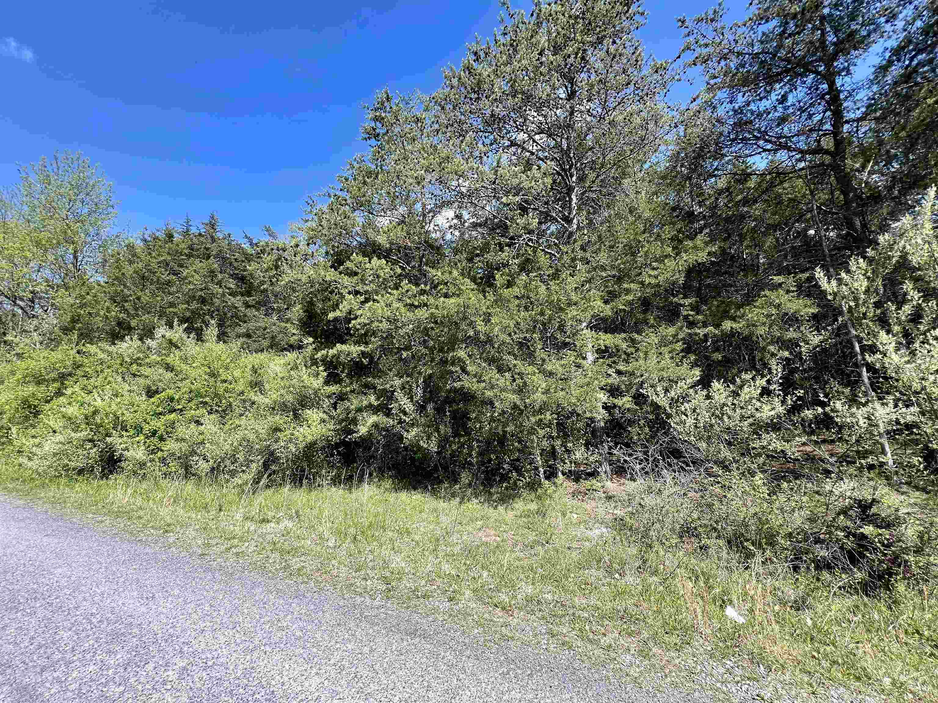 TBD RIVERVIEW DR, LURAY, Virginia 22835, ,Land,TBD RIVERVIEW DR,651892 MLS # 651892