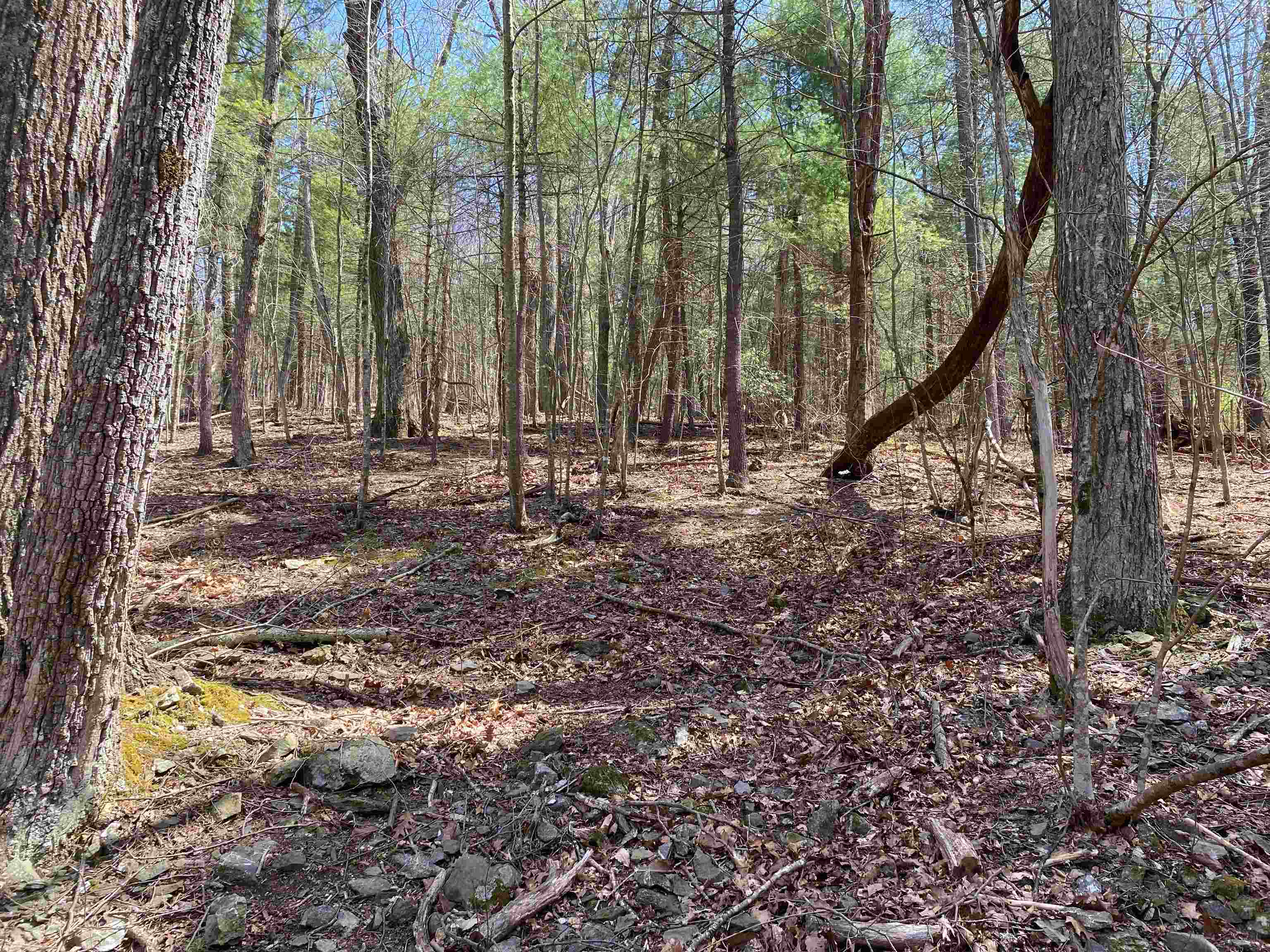 TBD CLIFF HEIGHTS RD, STANLEY, Virginia 22851, ,Land,TBD CLIFF HEIGHTS RD,651955 MLS # 651955