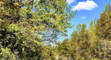 INDIAN TRACE TRL, UNIONVILLE, Virginia 22567, ,Land,For sale,INDIAN TRACE TRL,VAOR2006864 MLS # VAOR2006864