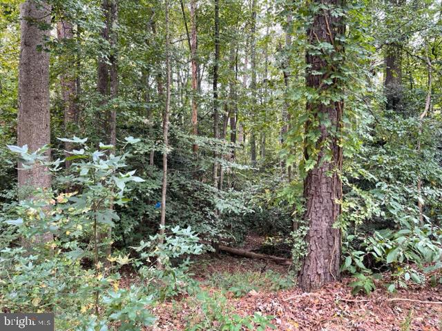 MONROE AND MCKINLEY, KING GEORGE, Virginia 22485, ,Land,For sale,MONROE AND MCKINLEY,VAKG2004134 MLS # VAKG2004134