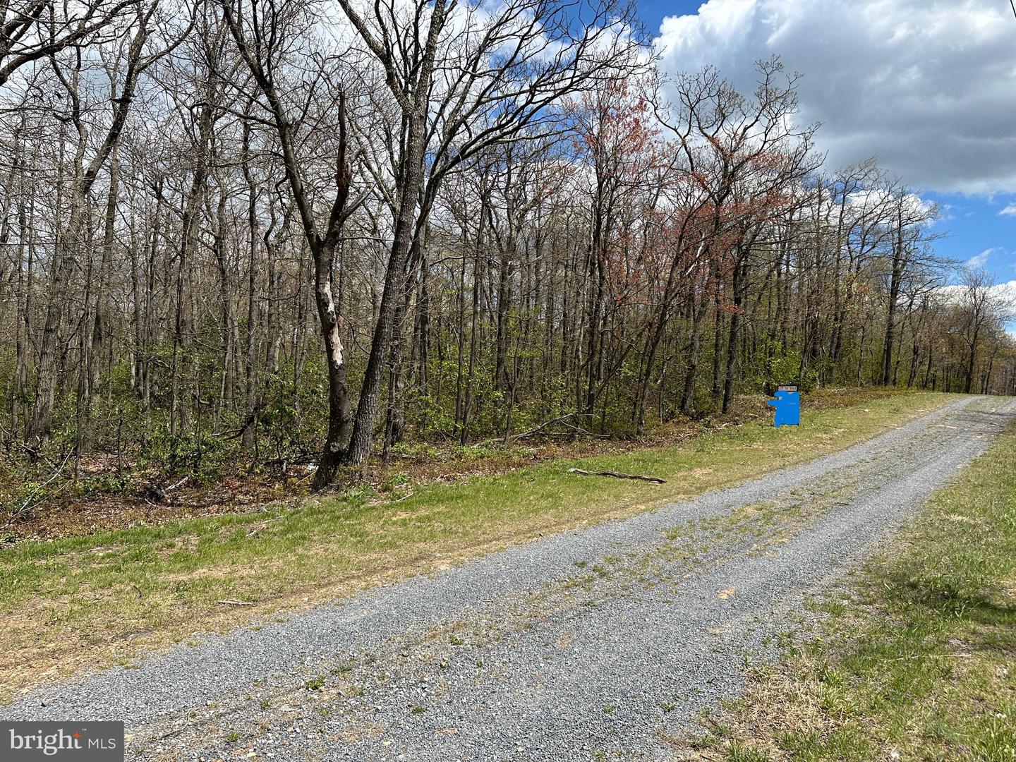 LOT 85 ASHWOOD TRAIL, WINCHESTER, Virginia 22602, ,Land,For sale,LOT 85 ASHWOOD TRAIL,VAFV2018722 MLS # VAFV2018722