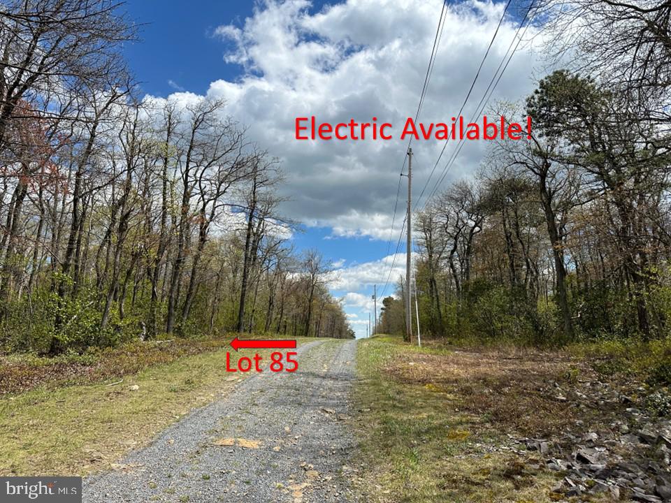 LOT 85 ASHWOOD TRAIL, WINCHESTER, Virginia 22602, ,Land,For sale,LOT 85 ASHWOOD TRAIL,VAFV2018722 MLS # VAFV2018722