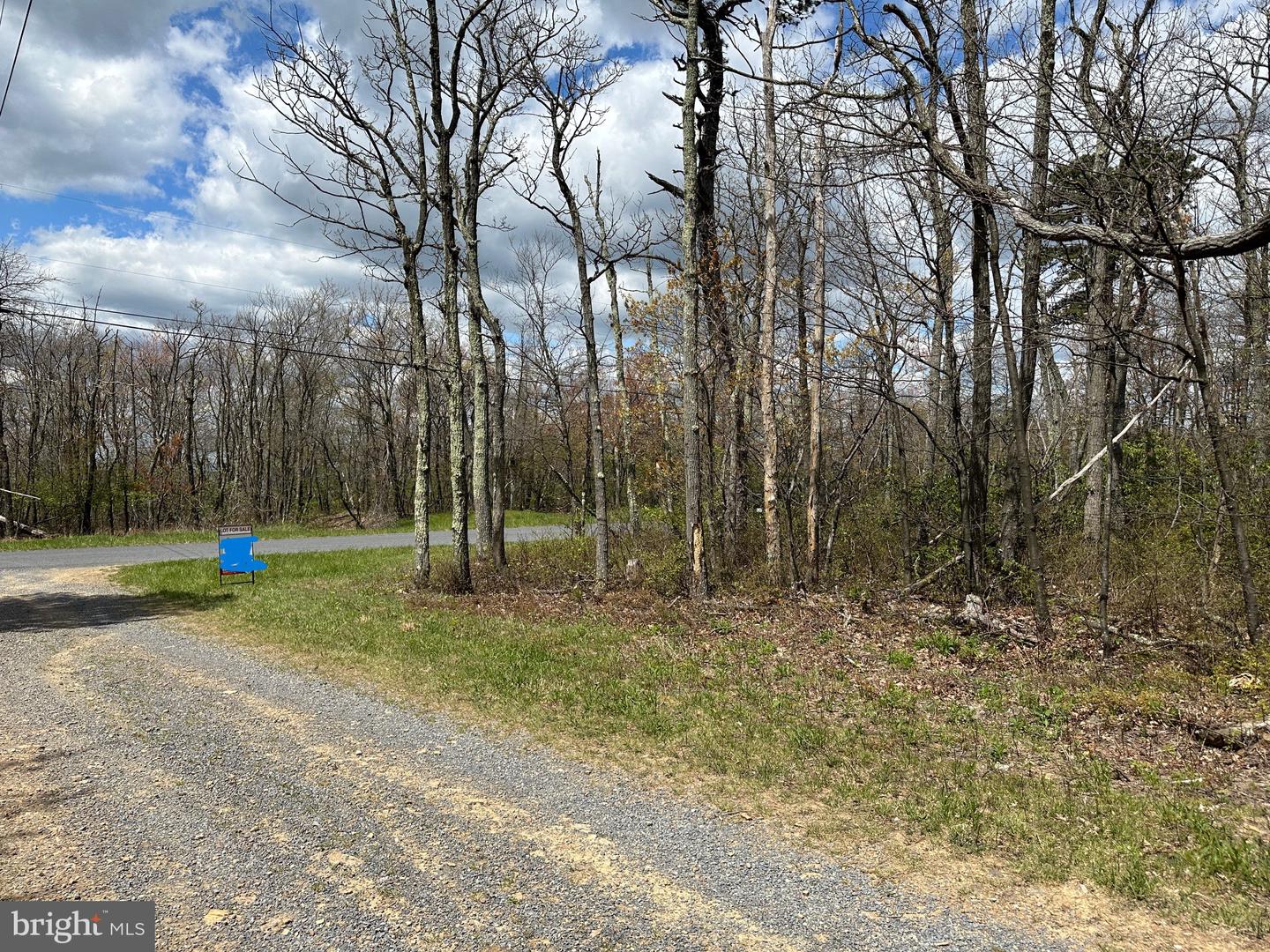 LOT 102 BOW WOOD TRAIL, WINCHESTER, Virginia 22602, ,Land,For sale,LOT 102 BOW WOOD TRAIL,VAFV2018730 MLS # VAFV2018730