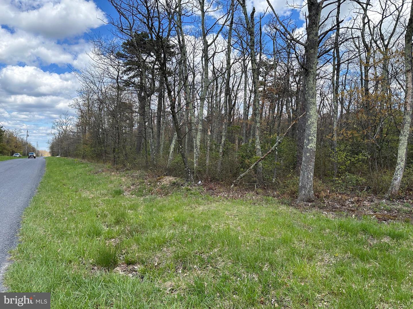 LOT 102 BOW WOOD TRAIL, WINCHESTER, Virginia 22602, ,Land,For sale,LOT 102 BOW WOOD TRAIL,VAFV2018730 MLS # VAFV2018730