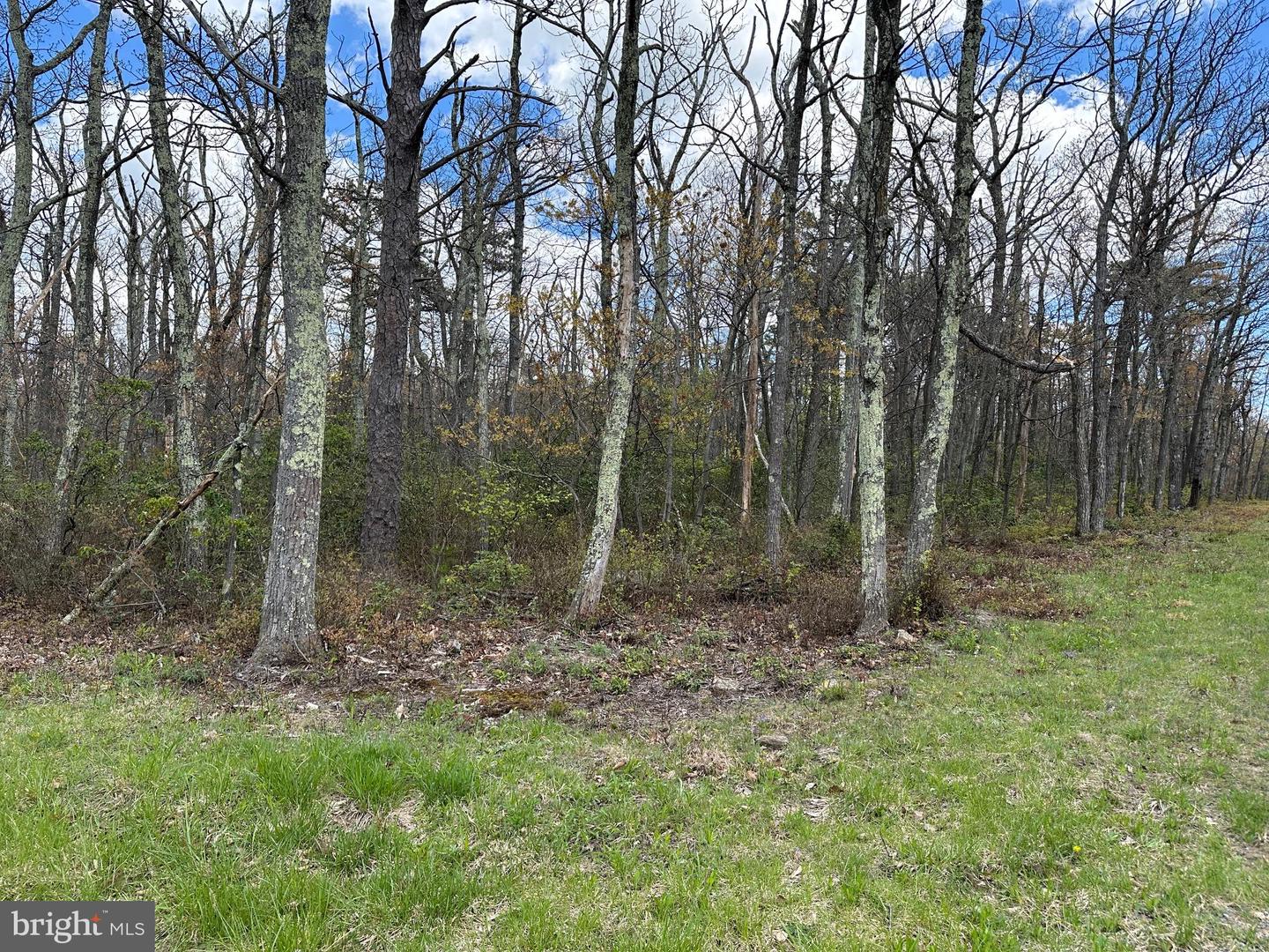 LOT 102 BOW WOOD TRAIL, WINCHESTER, Virginia 22602, ,Land,For sale,LOT 102 BOW WOOD TRAIL,VAFV2018730 MLS # VAFV2018730