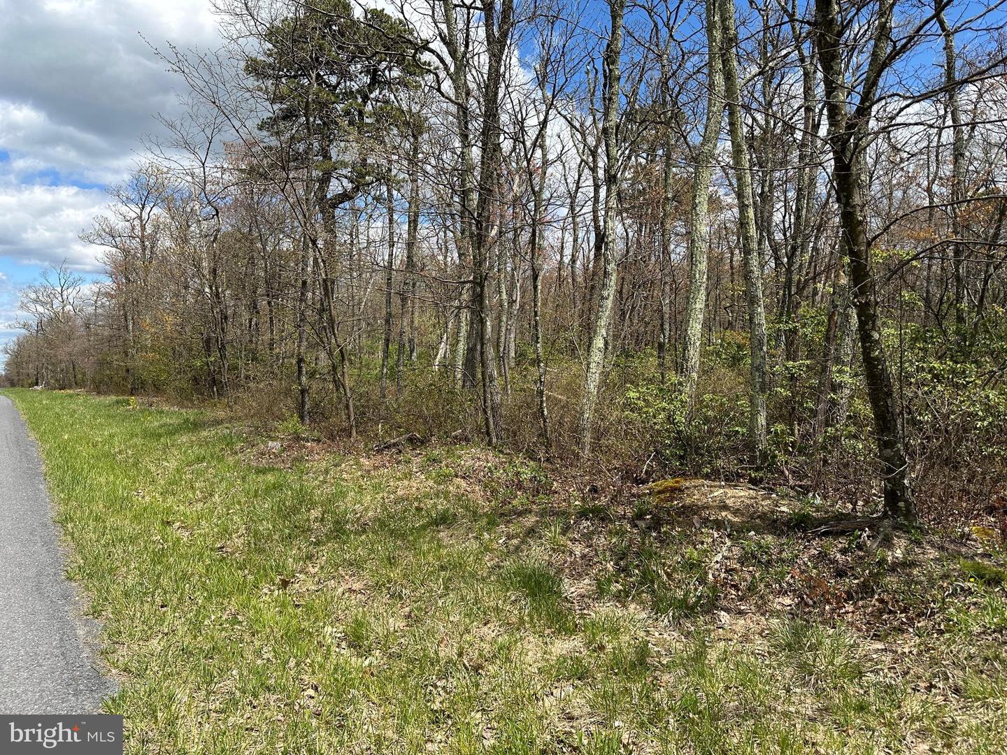 LOT 102 BOW WOOD TRAIL, WINCHESTER, Virginia 22602, ,Land,For sale,LOT 102 BOW WOOD TRAIL,VAFV2018730 MLS # VAFV2018730