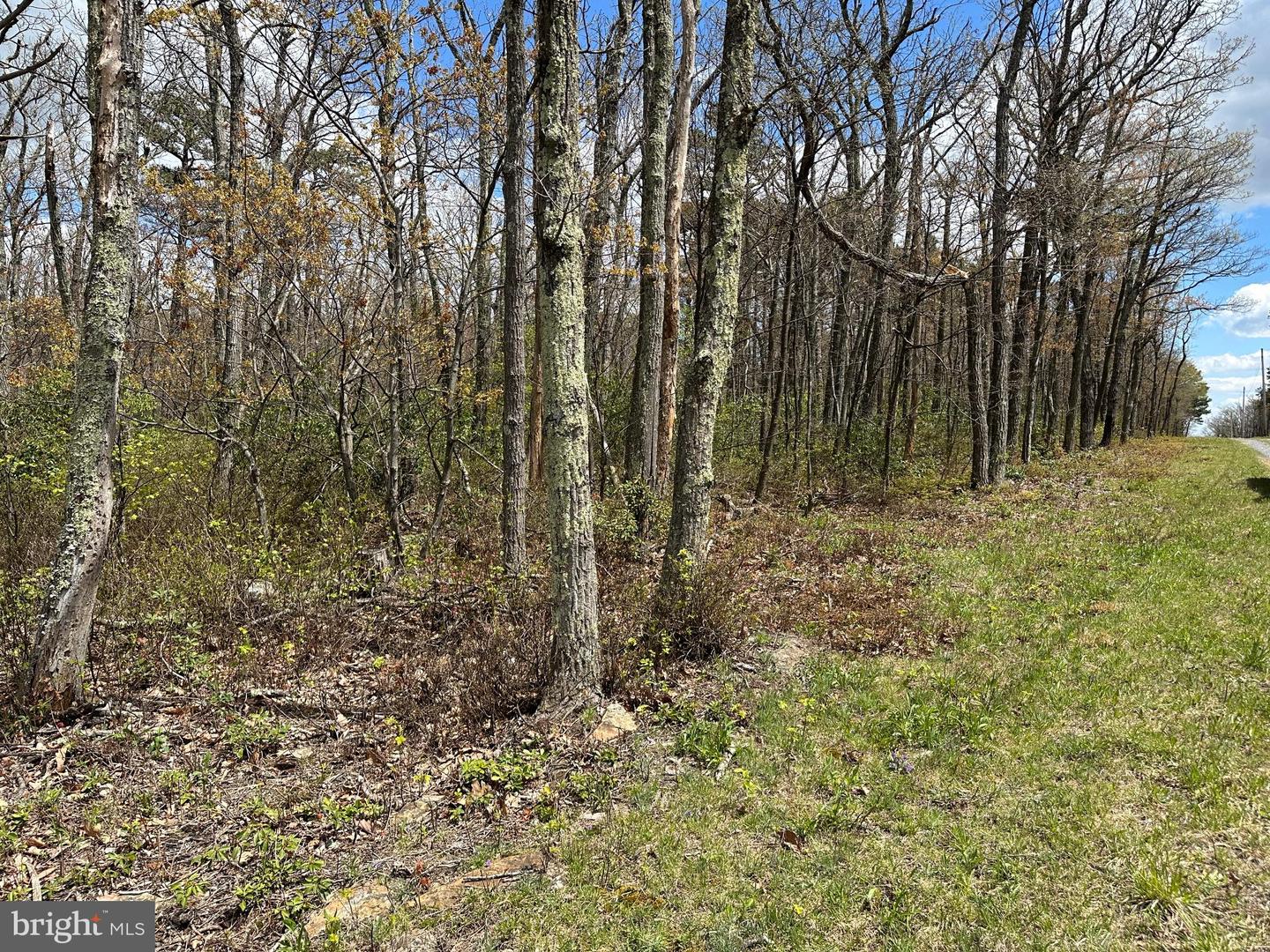 LOT 102 BOW WOOD TRAIL, WINCHESTER, Virginia 22602, ,Land,For sale,LOT 102 BOW WOOD TRAIL,VAFV2018730 MLS # VAFV2018730