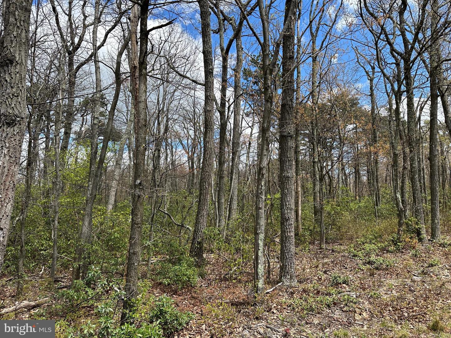 LOT 102 BOW WOOD TRAIL, WINCHESTER, Virginia 22602, ,Land,For sale,LOT 102 BOW WOOD TRAIL,VAFV2018730 MLS # VAFV2018730