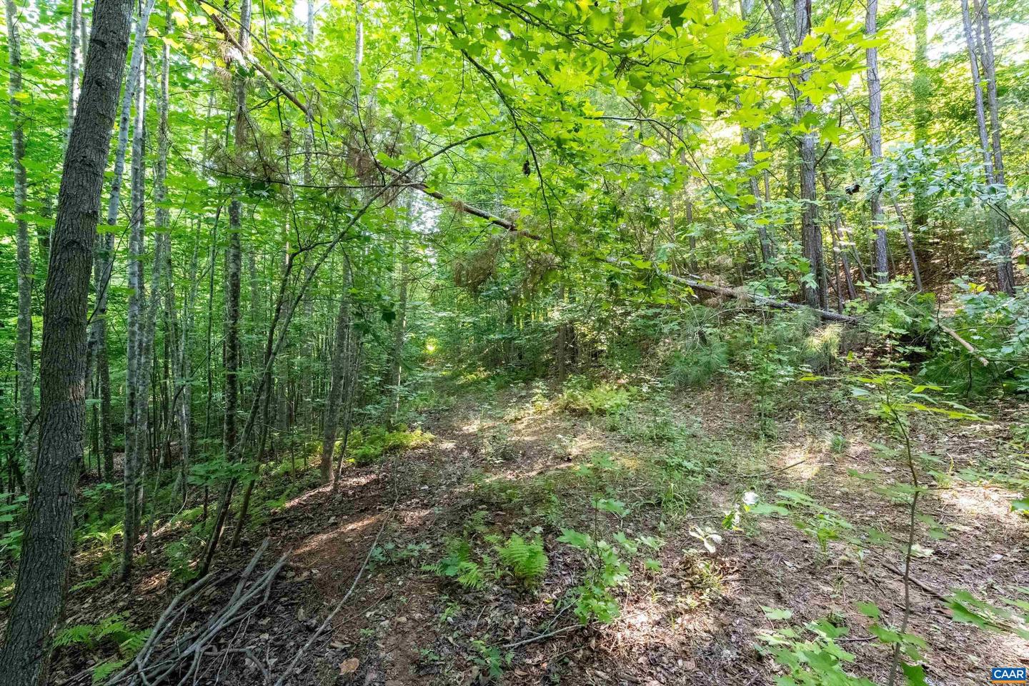 WHISPERING WOODS PL, ZION CROSSROADS, Virginia 22942, ,Land,For sale,WHISPERING WOODS PL,652356 MLS # 652356