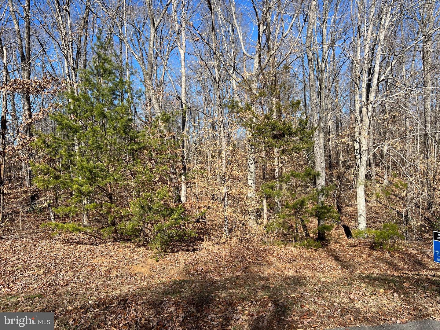 LOT 197 NOAH'S LANDING DRIVE, BUMPASS, Virginia 23024, ,Land,For sale,LOT 197 NOAH'S LANDING DRIVE,VALA2005068 MLS # VALA2005068