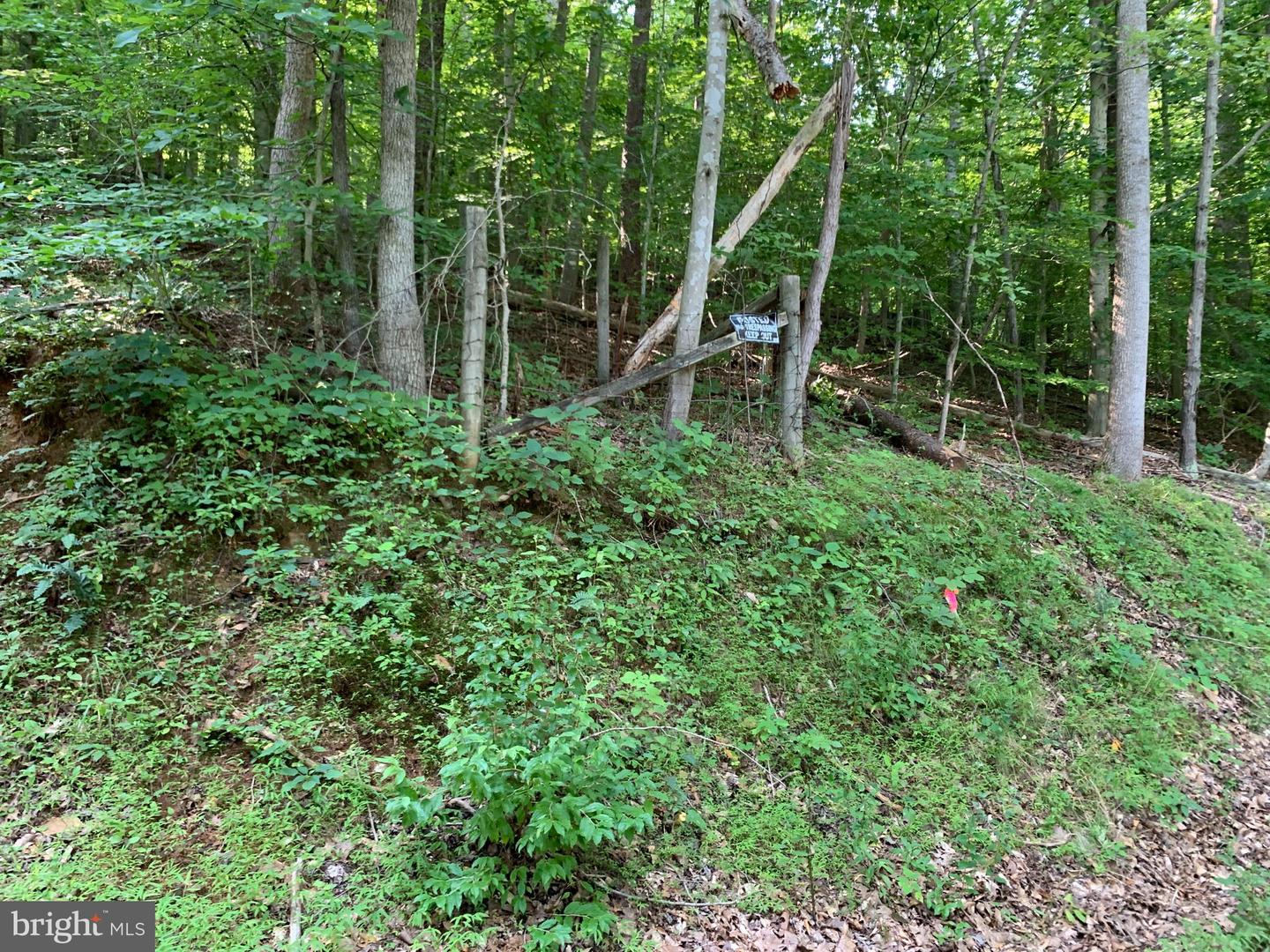 LOT 1 CARTERS RUN, MARSHALL, Virginia 20116, ,Land,For sale,LOT 1 CARTERS RUN,VAFQ2007134 MLS # VAFQ2007134