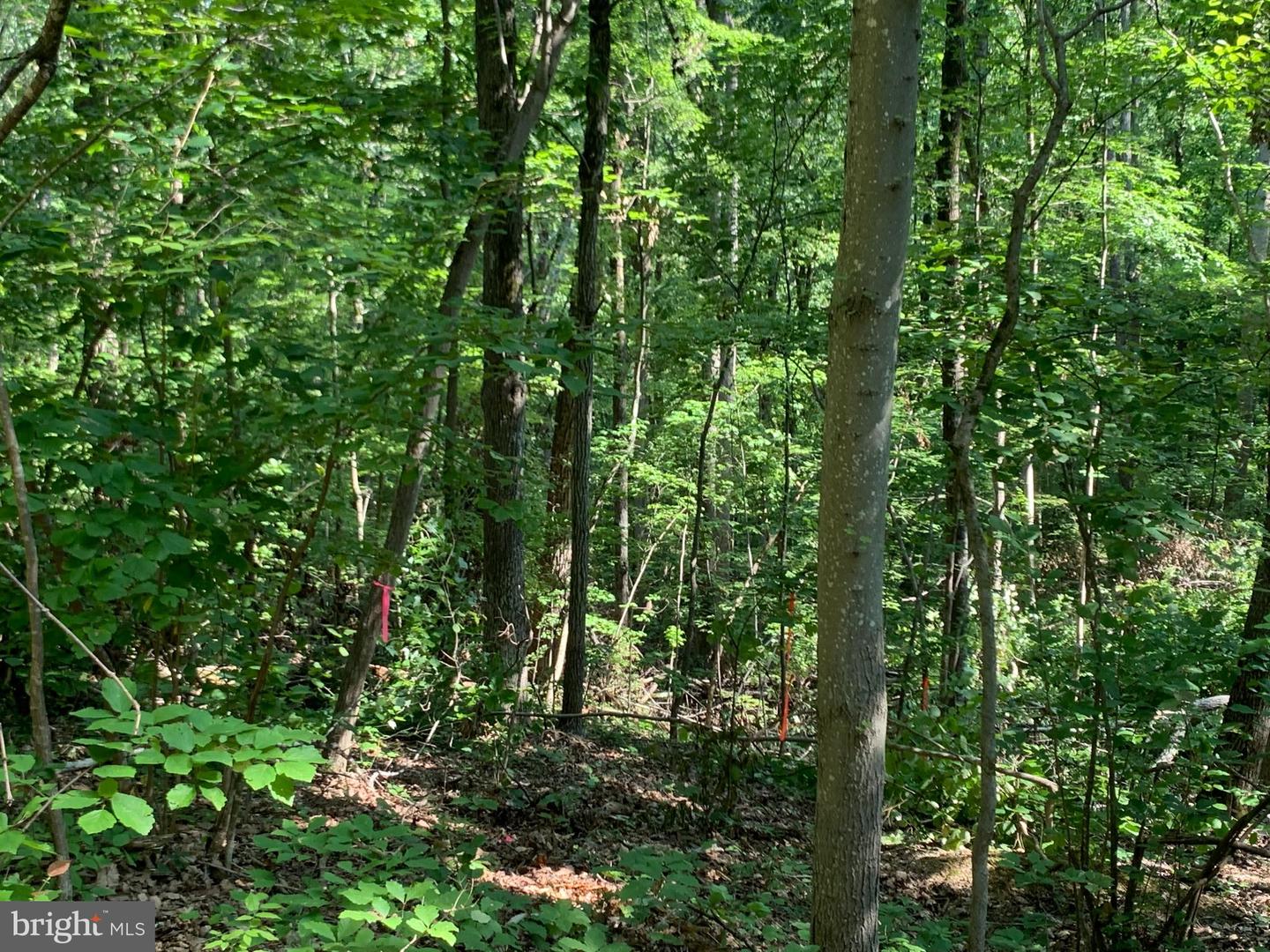 LOT 1 CARTERS RUN, MARSHALL, Virginia 20116, ,Land,For sale,LOT 1 CARTERS RUN,VAFQ2007134 MLS # VAFQ2007134