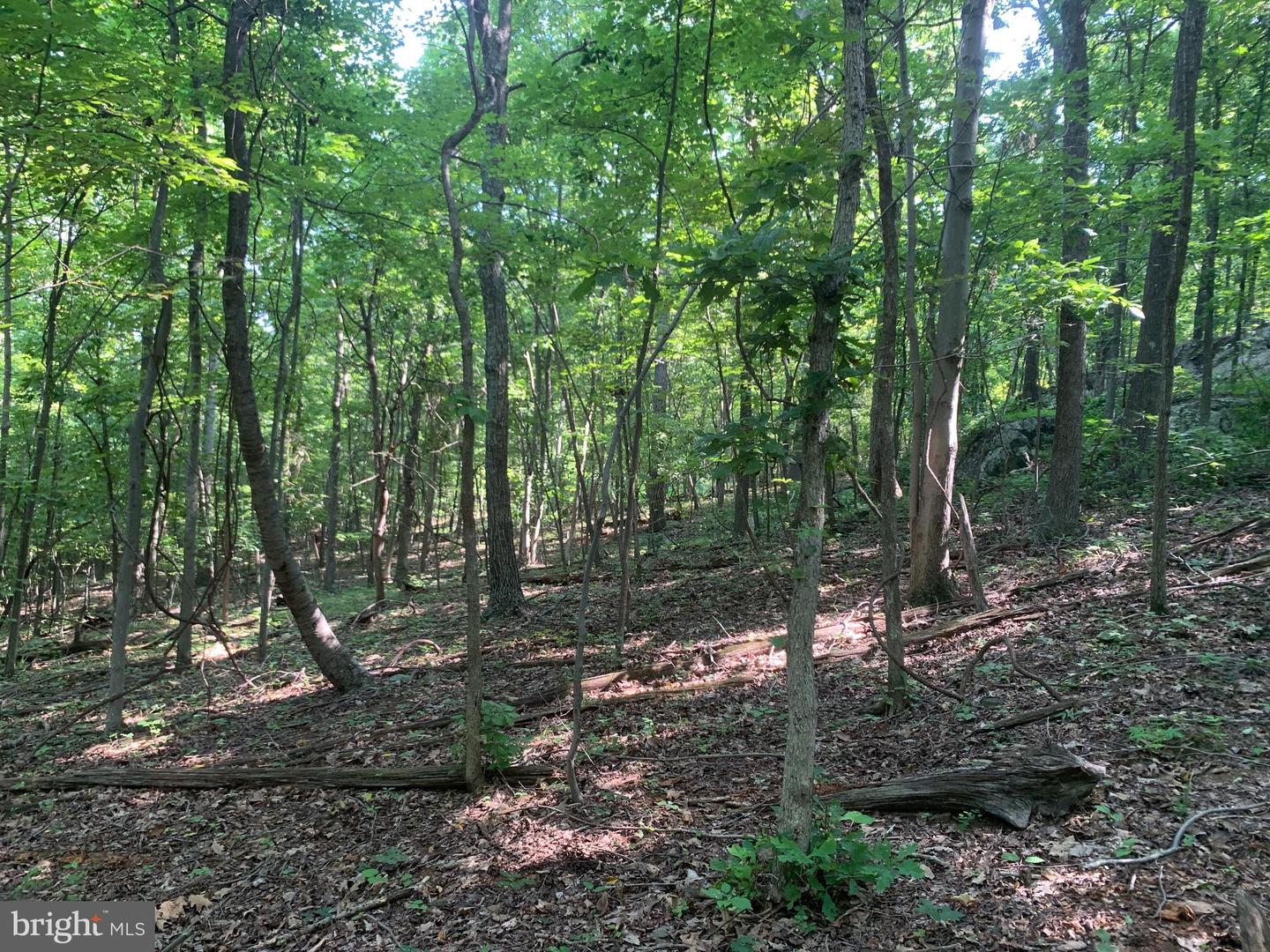 LOT 1 CARTERS RUN, MARSHALL, Virginia 20116, ,Land,For sale,LOT 1 CARTERS RUN,VAFQ2007134 MLS # VAFQ2007134