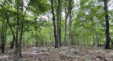 38 CREEKSIDE CL, NELLYSFORD, Virginia 22958, ,Land,For sale,38 CREEKSIDE CL,652696 MLS # 652696
