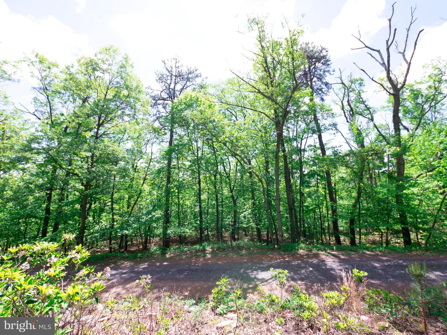 LOT 15 FOX TRL, WINCHESTER, Virginia 22602, ,Land,For sale,LOT 15 FOX TRL,VAFV2018856 MLS # VAFV2018856