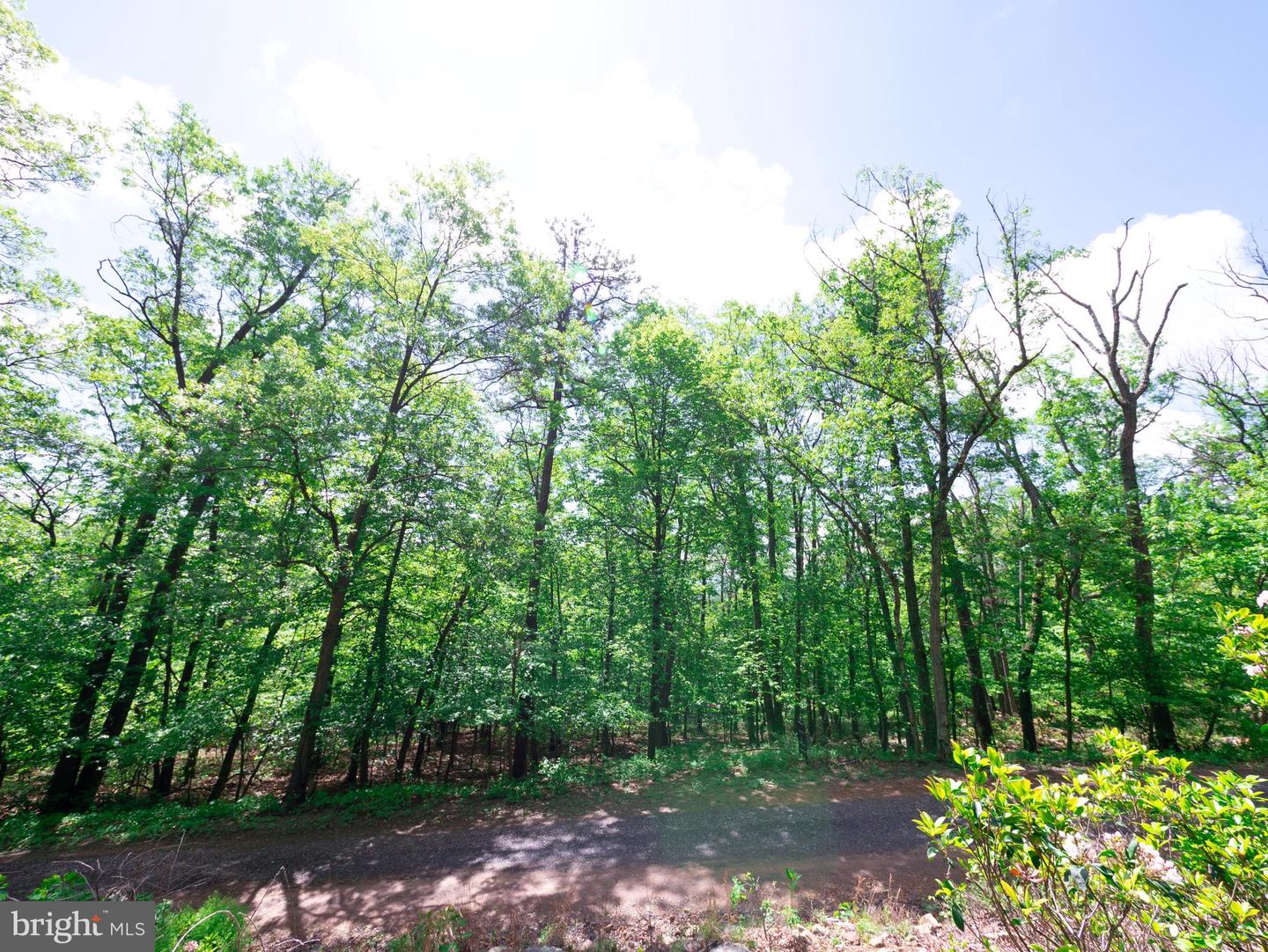 LOT 15 FOX TRL, WINCHESTER, Virginia 22602, ,Land,For sale,LOT 15 FOX TRL,VAFV2018856 MLS # VAFV2018856