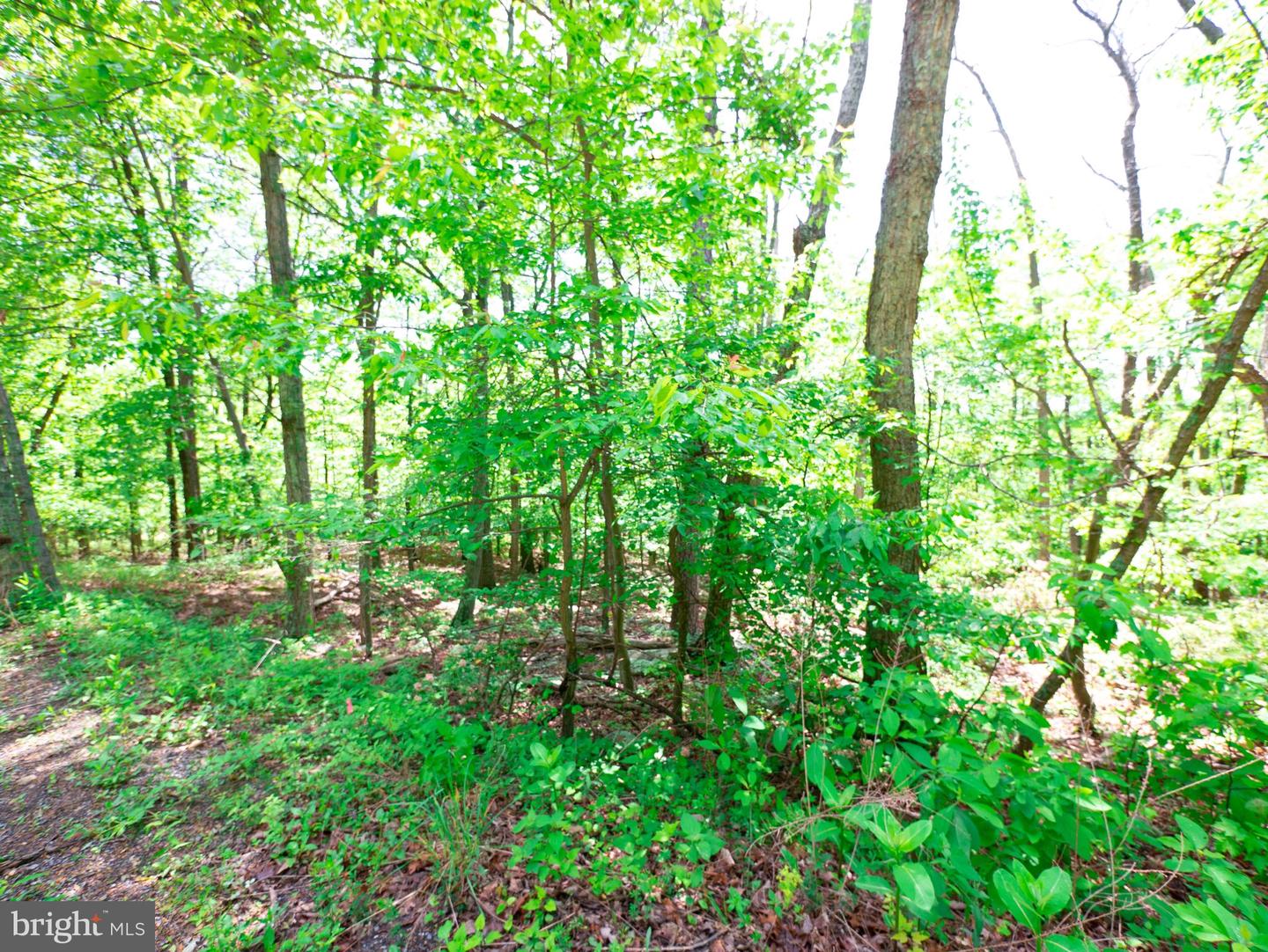 LOT 15 FOX TRL, WINCHESTER, Virginia 22602, ,Land,For sale,LOT 15 FOX TRL,VAFV2018856 MLS # VAFV2018856