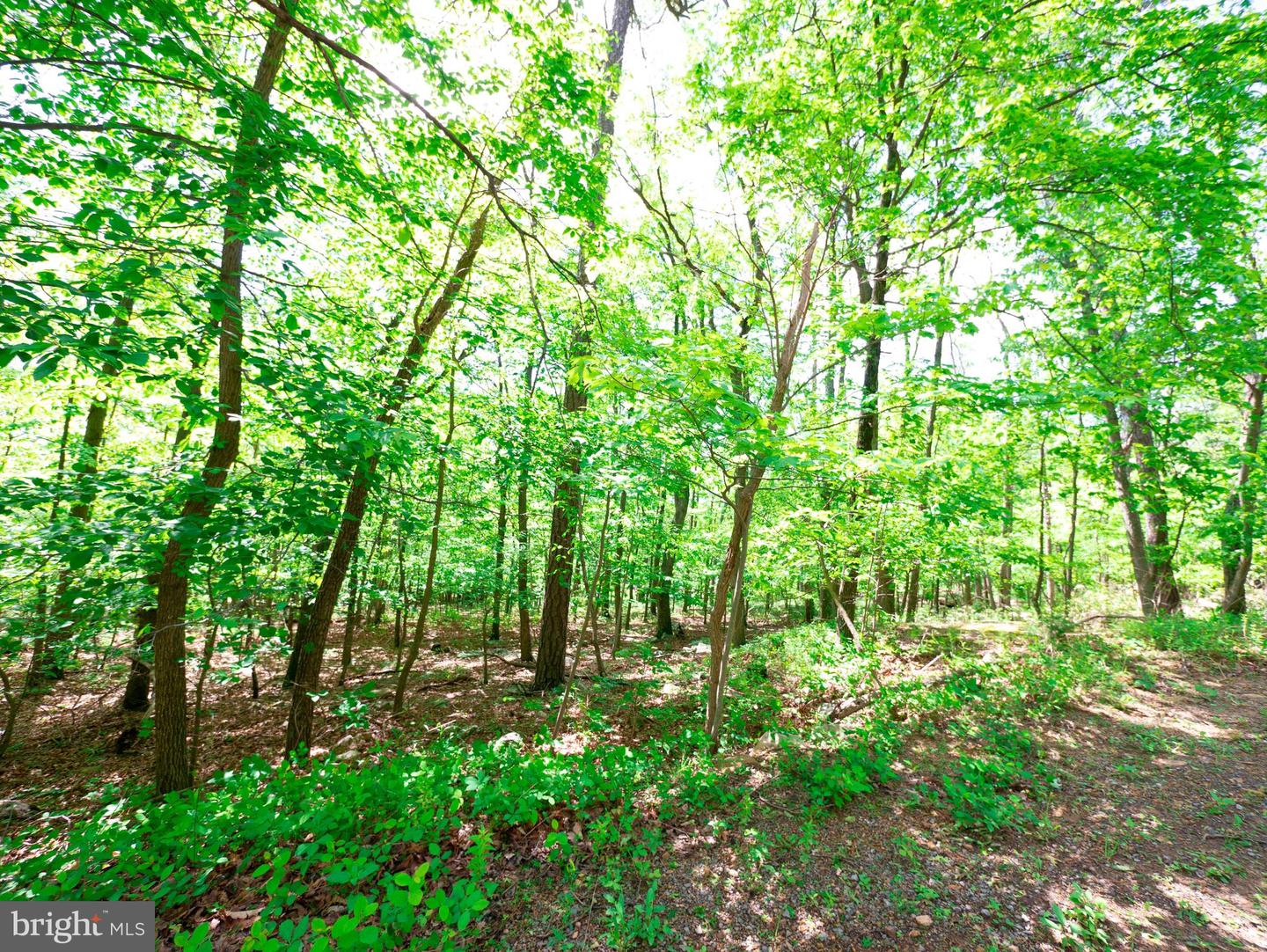 LOT 15 FOX TRL, WINCHESTER, Virginia 22602, ,Land,For sale,LOT 15 FOX TRL,VAFV2018856 MLS # VAFV2018856