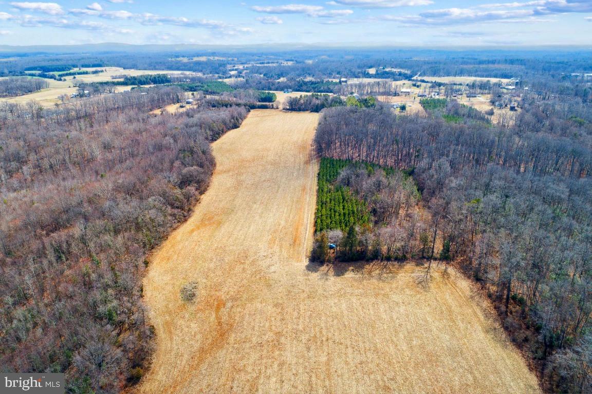 OAK PARK RD, OAKPARK, Virginia 22730, ,Farm,For sale,OAK PARK RD,VAMA2001694 MLS # VAMA2001694