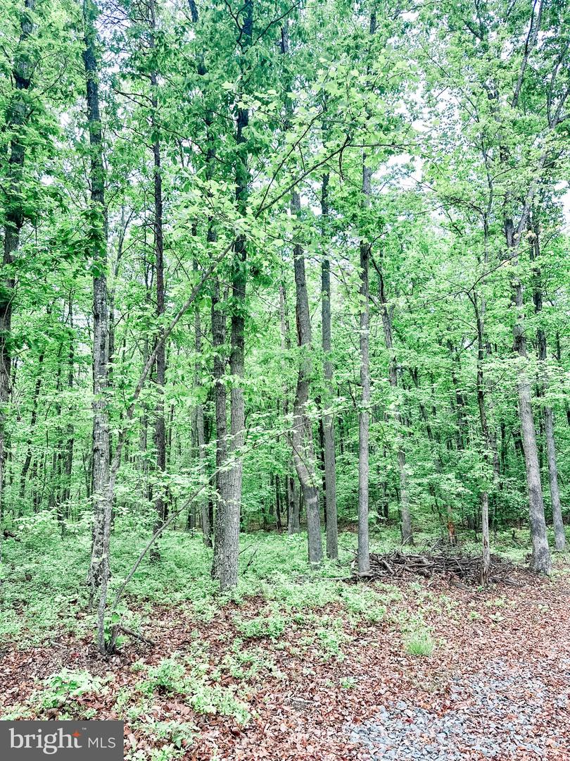 LOT 5 INDEPENDENCE RD, UNIONVILLE, Virginia 22567, ,Land,For sale,LOT 5 INDEPENDENCE RD,VAOR2007026 MLS # VAOR2007026