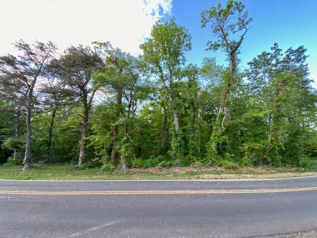 TBD HOWARDSVILLE TPKE, STUARTS DRAFT, Virginia 24477, ,Land,TBD HOWARDSVILLE TPKE,652752 MLS # 652752