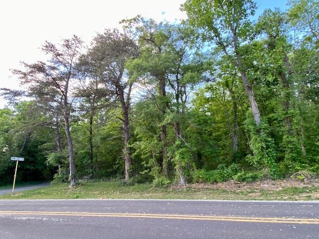 TBD HOWARDSVILLE TPKE, STUARTS DRAFT, Virginia 24477, ,Land,TBD HOWARDSVILLE TPKE,652752 MLS # 652752