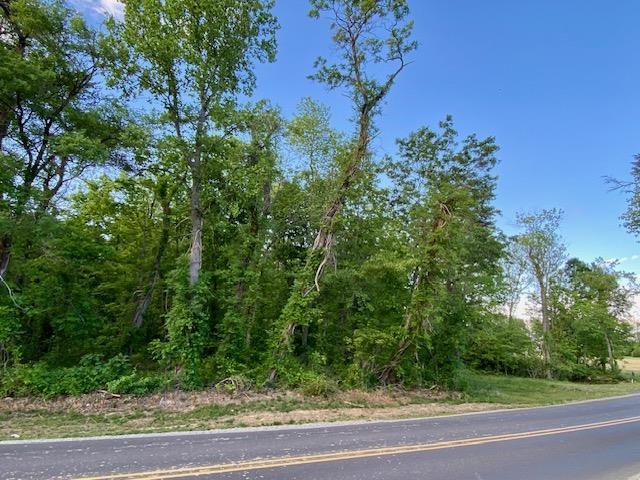 TBD HOWARDSVILLE TPKE, STUARTS DRAFT, Virginia 24477, ,Land,TBD HOWARDSVILLE TPKE,652752 MLS # 652752