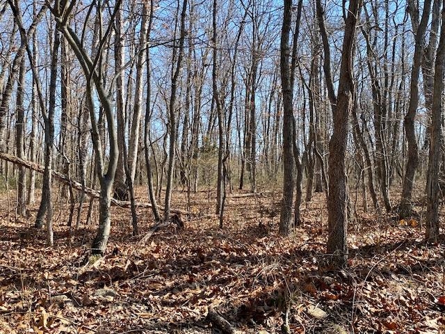 TBD HOWARDSVILLE TPKE, STUARTS DRAFT, Virginia 24477, ,Land,TBD HOWARDSVILLE TPKE,652752 MLS # 652752