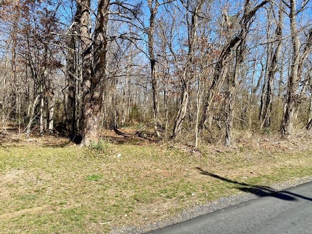 TBD HOWARDSVILLE TPKE, STUARTS DRAFT, Virginia 24477, ,Land,TBD HOWARDSVILLE TPKE,652752 MLS # 652752