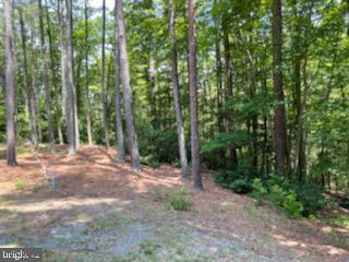 HILLCREST CT, MONTROSS, Virginia 22520, ,Land,For sale,HILLCREST CT,VAWE2006660 MLS # VAWE2006660