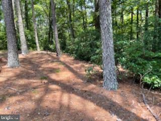 HILLCREST CT, MONTROSS, Virginia 22520, ,Land,For sale,HILLCREST CT,VAWE2006660 MLS # VAWE2006660