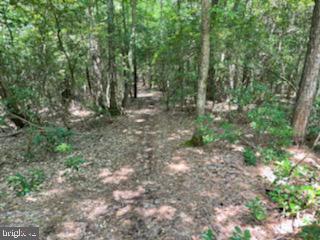 HILLCREST CT, MONTROSS, Virginia 22520, ,Land,For sale,HILLCREST CT,VAWE2006660 MLS # VAWE2006660