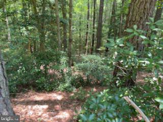 HILLCREST CT, MONTROSS, Virginia 22520, ,Land,For sale,HILLCREST CT,VAWE2006660 MLS # VAWE2006660