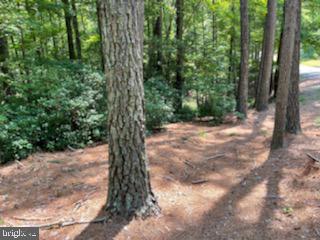 HILLCREST CT, MONTROSS, Virginia 22520, ,Land,For sale,HILLCREST CT,VAWE2006660 MLS # VAWE2006660