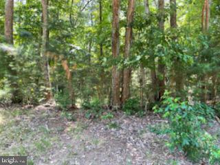 HILLCREST CT, MONTROSS, Virginia 22520, ,Land,For sale,HILLCREST CT,VAWE2006660 MLS # VAWE2006660