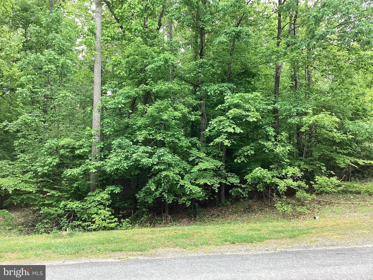 LOT 138 FISHER DRIVE, MINERAL, Virginia 23117, ,Land,For sale,LOT 138 FISHER DRIVE,VALA2005670 MLS # VALA2005670