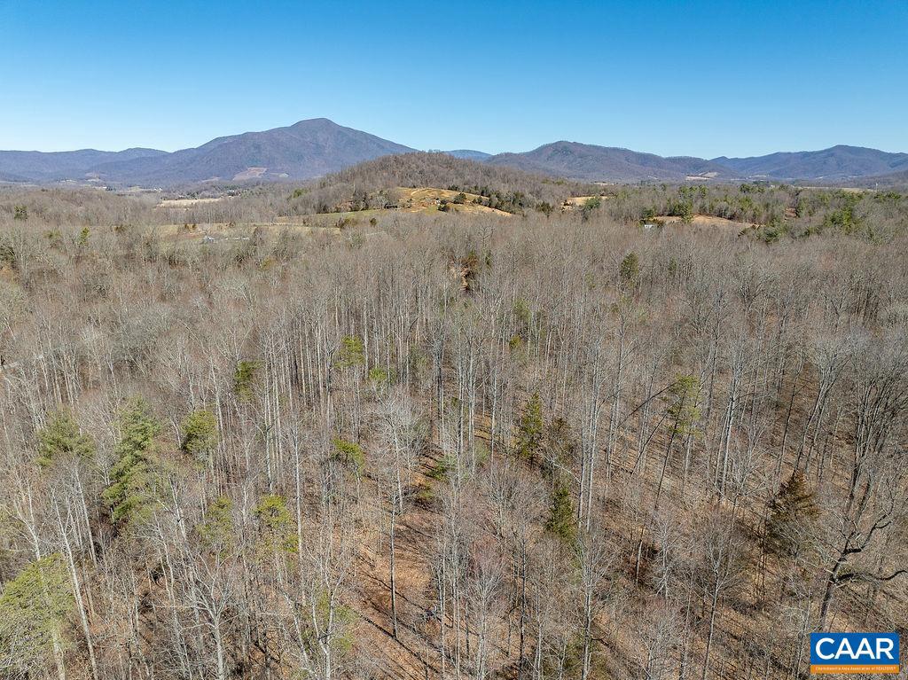 FLEETWOOD HILL DR, MASSIES MILL, Virginia 22967, ,Land,For sale,FLEETWOOD HILL DR,652815 MLS # 652815