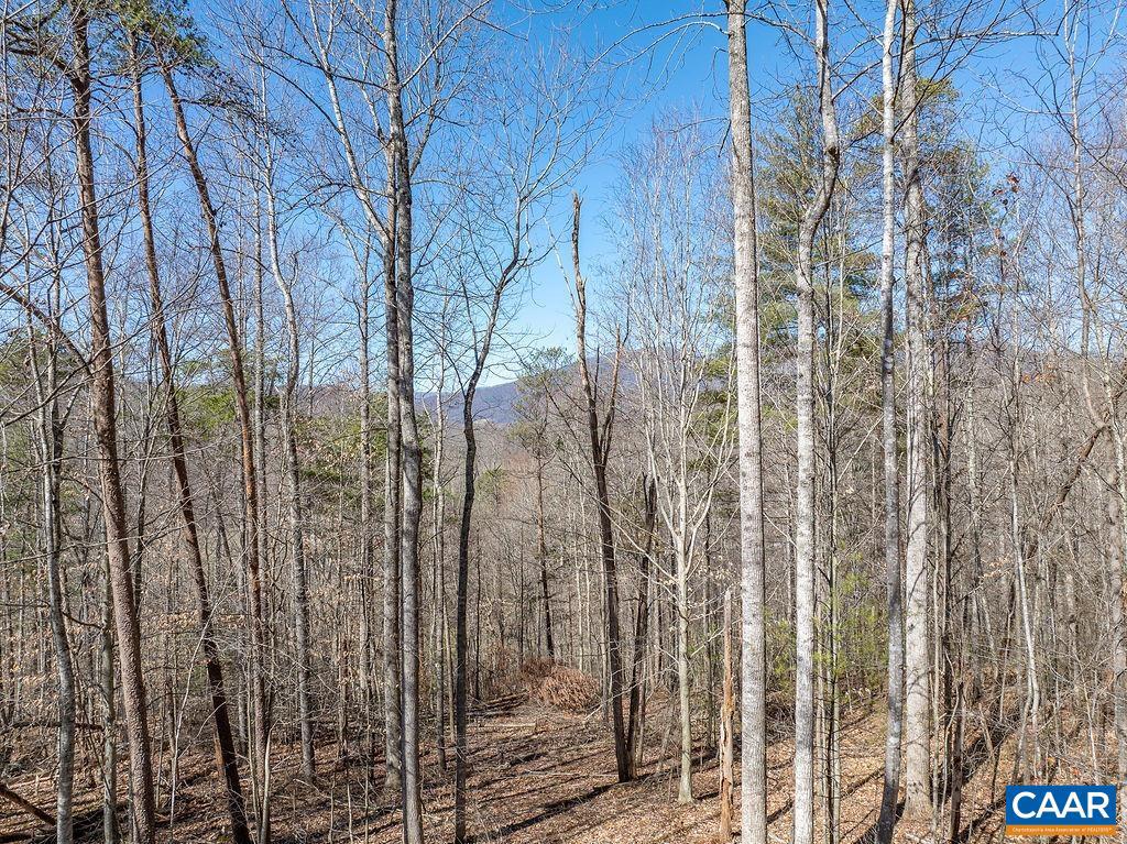 FLEETWOOD HILL DR, MASSIES MILL, Virginia 22967, ,Land,For sale,FLEETWOOD HILL DR,652815 MLS # 652815