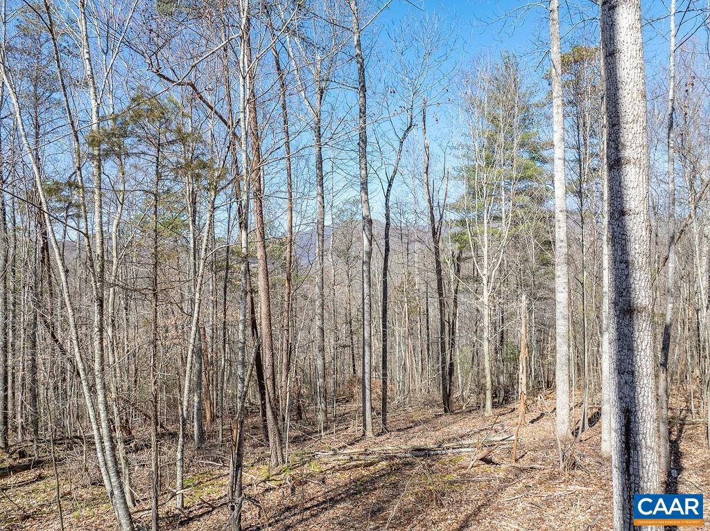 FLEETWOOD HILL DR, MASSIES MILL, Virginia 22967, ,Land,For sale,FLEETWOOD HILL DR,652815 MLS # 652815