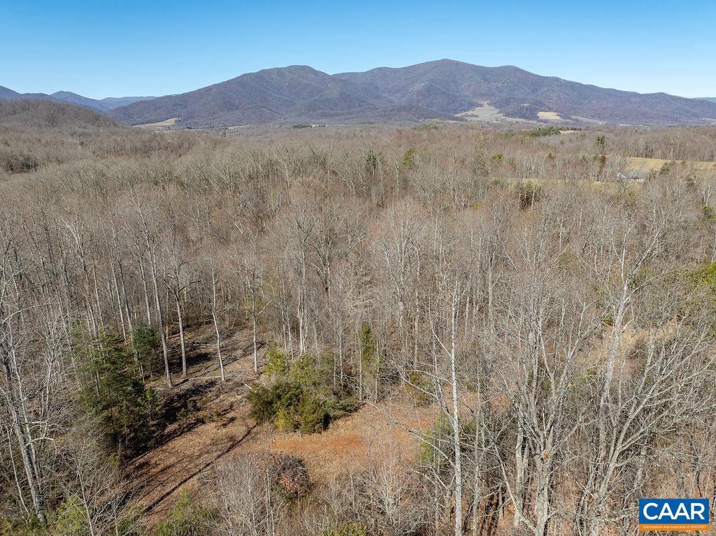 0 FLEETWOOD HILL DR, MASSIES MILL, Virginia 22967, ,Land,For sale,0 FLEETWOOD HILL DR,652816 MLS # 652816