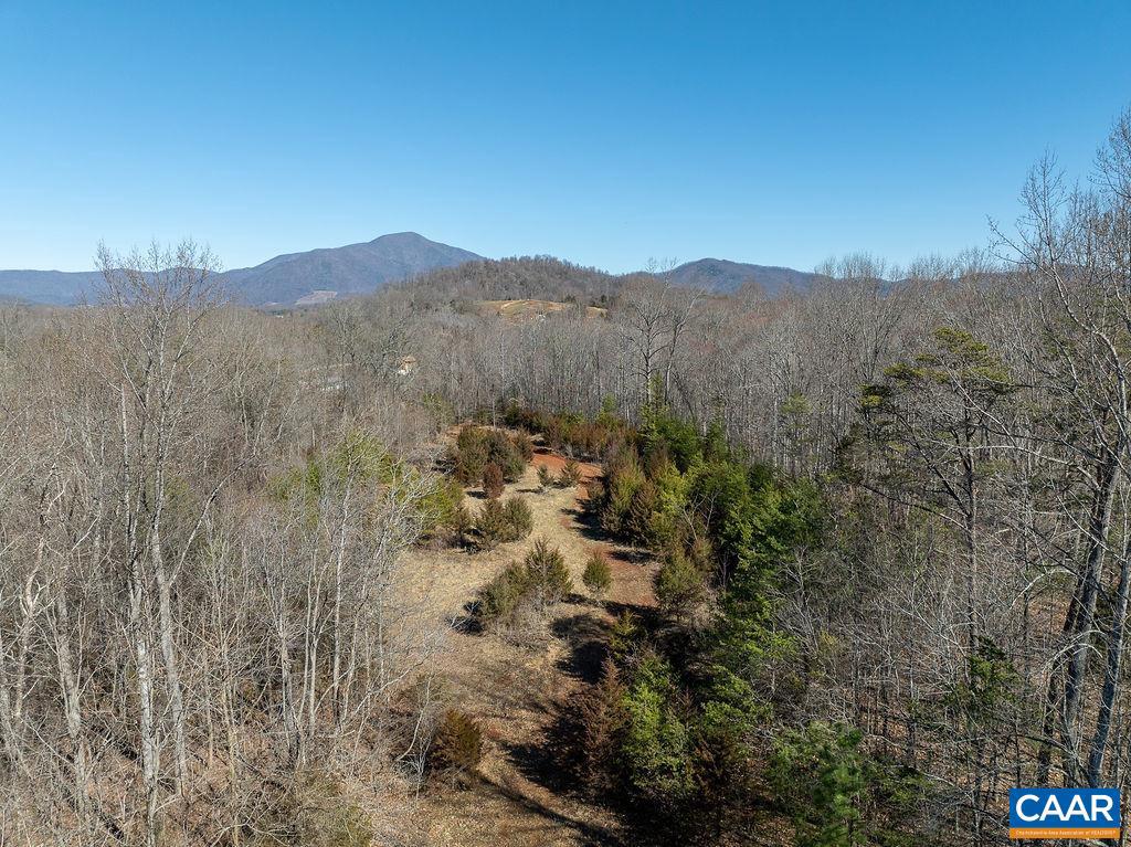 0 FLEETWOOD HILL DR, MASSIES MILL, Virginia 22967, ,Land,For sale,0 FLEETWOOD HILL DR,652816 MLS # 652816