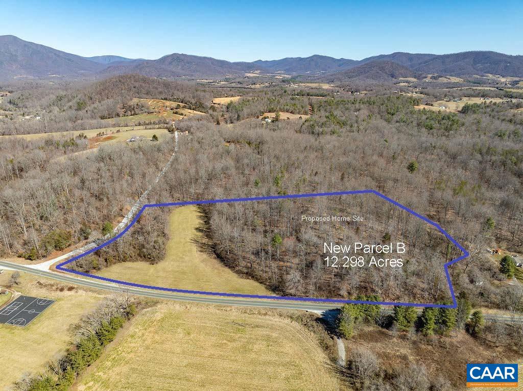 CRABTREE FALLS HWY, MASSIES MILL, Virginia 22967, ,Land,For sale,CRABTREE FALLS HWY,652817 MLS # 652817