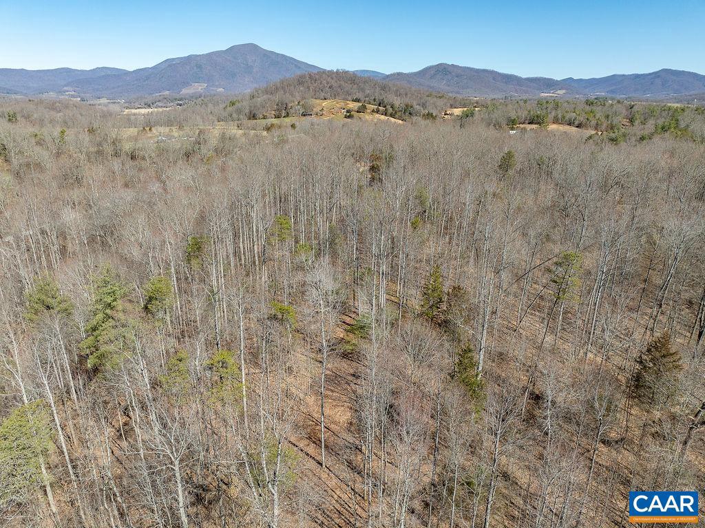 CRABTREE FALLS HWY, MASSIES MILL, Virginia 22967, ,Land,For sale,CRABTREE FALLS HWY,652817 MLS # 652817